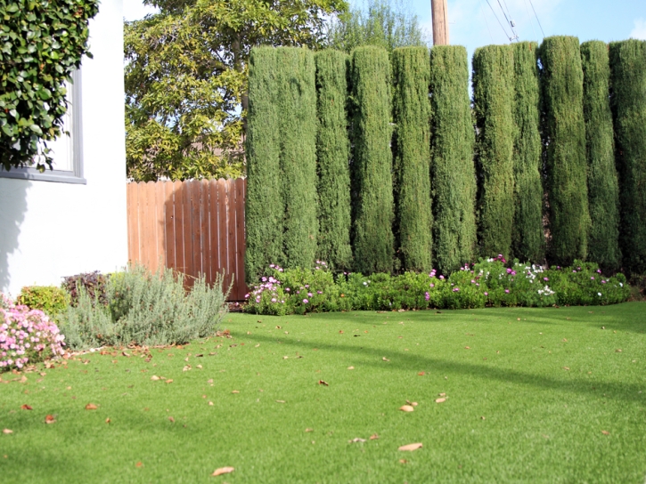 Artificial Grass Forest Glen Maryland Lawn Commercial Landscape