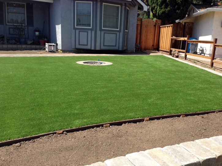 Artificial Grass Fort Meade Maryland Landscape Back Yard