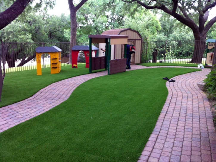 Artificial Grass Glen Burnie Maryland Landscape