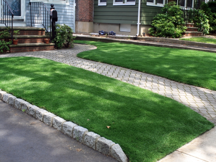 Artificial Grass Herald Harbor Maryland Lawn Front Yard