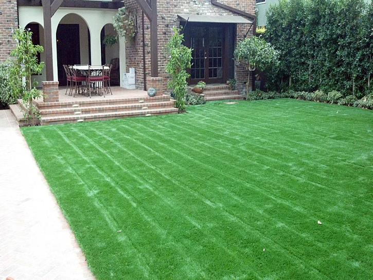 Artificial Grass Hunt Valley Maryland Lawn Front Yard