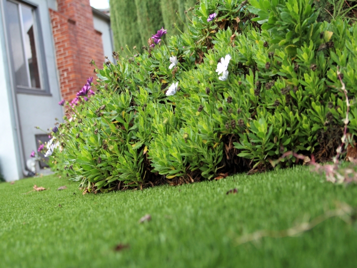 Artificial Grass Kent Narrows Maryland Landscape Front