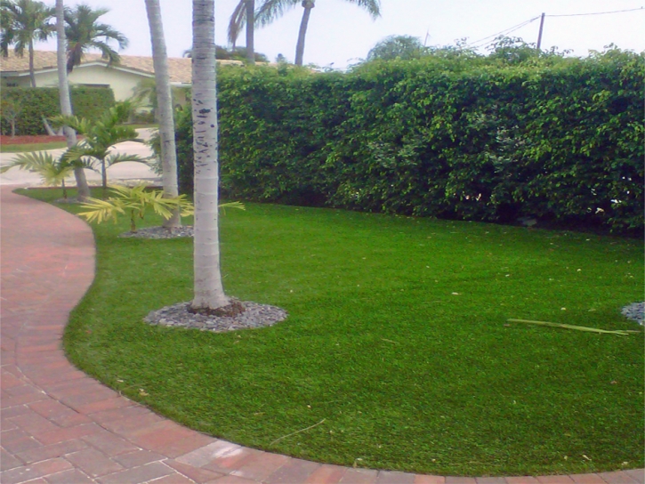 Artificial Grass Kingsville Maryland Landscape Back Yard