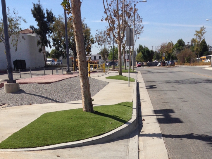 Artificial Grass Langley Park Maryland Lawn Commercial Landscape