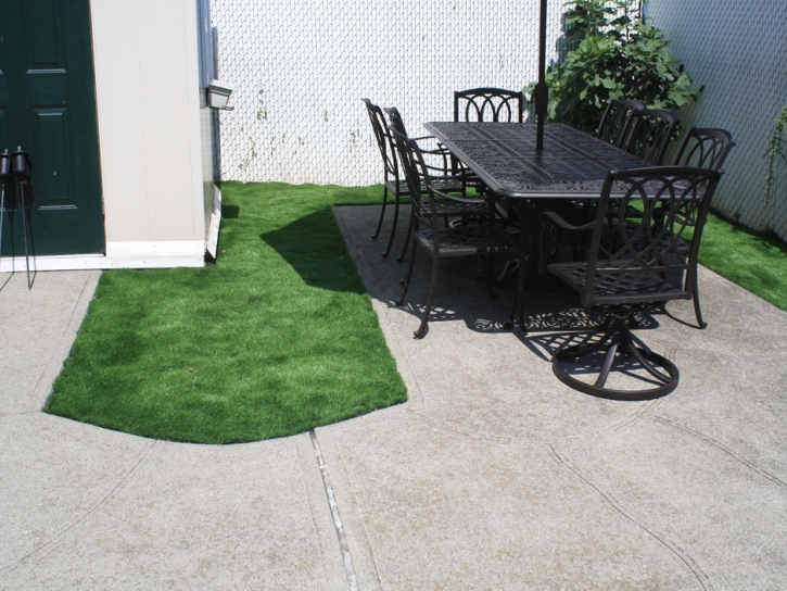 Artificial Grass Layhill Maryland Landscape Back Yard