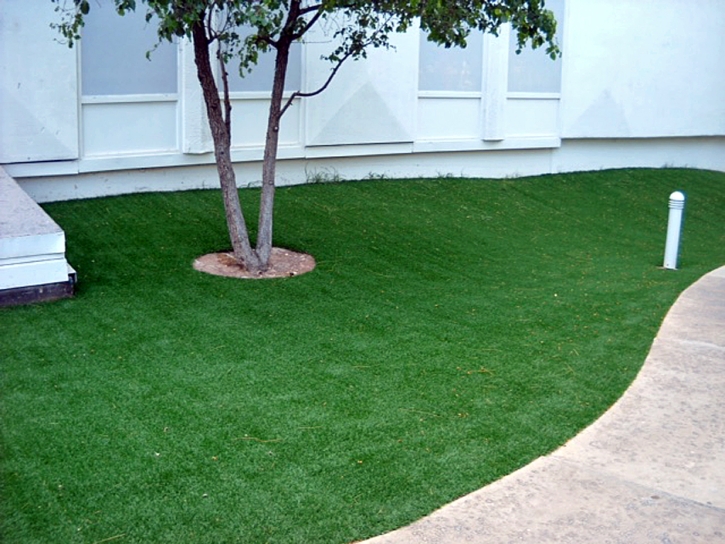 Artificial Grass Leisure World Maryland Lawn Back Yard