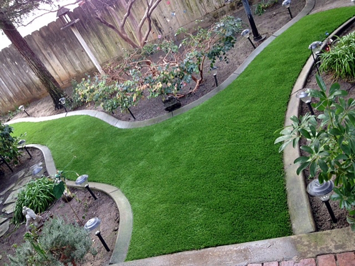 Artificial Grass New Windsor Maryland Landscape Front Yard