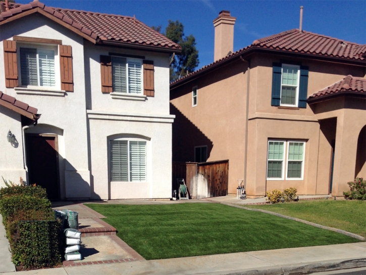 Artificial Grass North Kensington Maryland Landscape Front