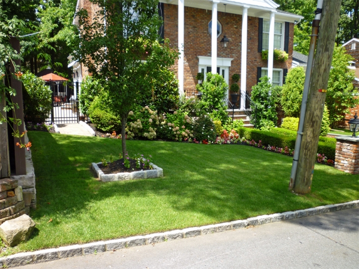 Artificial Grass Pleasant Hills Maryland Lawn Front Yard