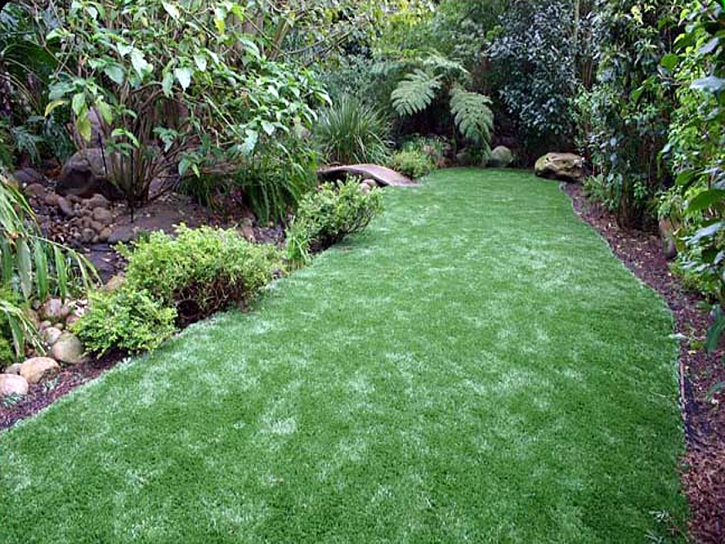 Artificial Grass Riva Maryland Landscape Front Yard