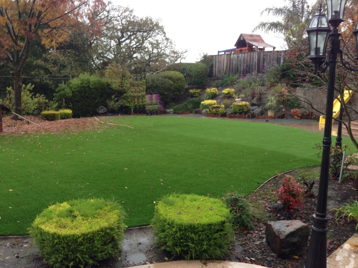 Artificial Grass Rossmoor Maryland Landscape