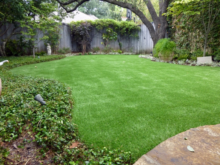 Artificial Grass Savage Maryland Landscape Commercial Landscape