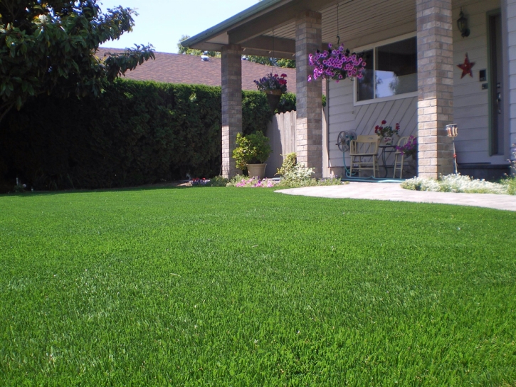 Artificial Grass Severna Park Maryland Landscape Back Yard