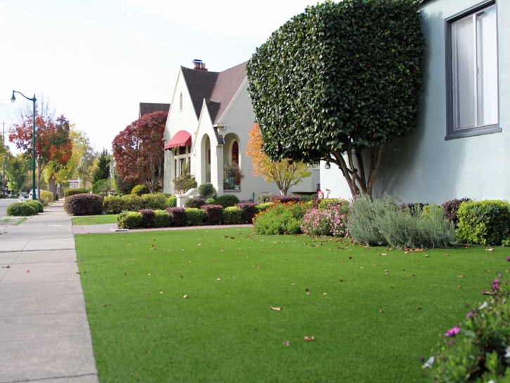 Artificial Grass Silver Spring Maryland Landscape Commercial