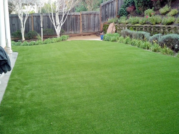 Artificial Grass South Laurel Maryland Landscape Front