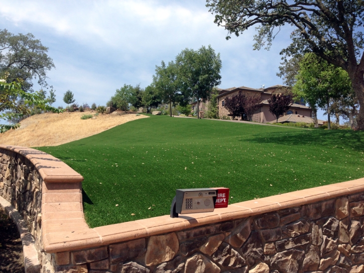 Artificial Grass Spencerville Maryland Lawn Commercial Landscape