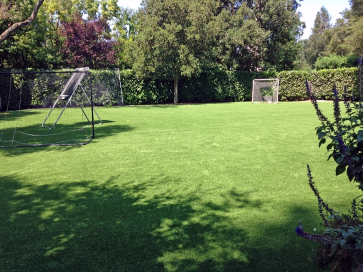 Artificial Grass Sports Applications Cockeysville Maryland