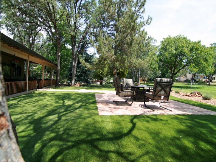 Artificial Grass West Elkridge Maryland Lawn Back Yard