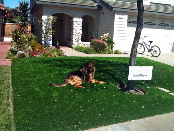 Artificial Pet Grass Lochearn Maryland Installation