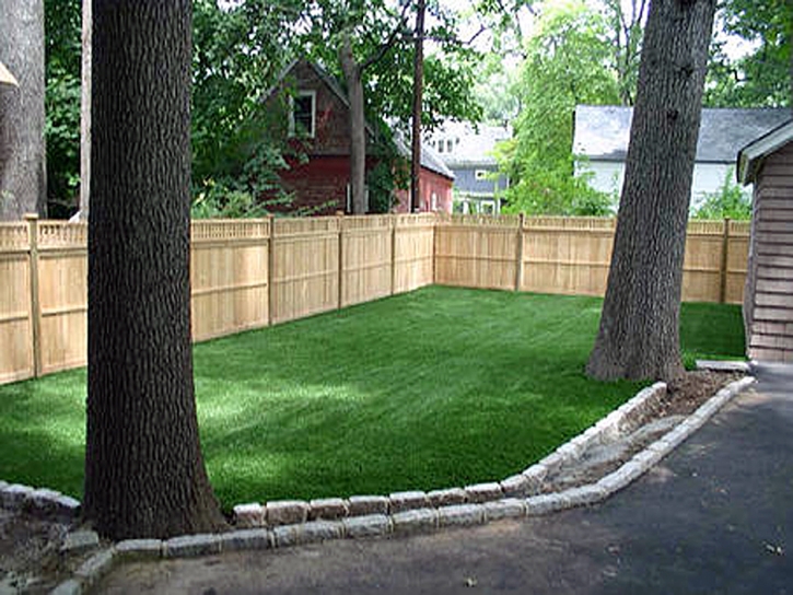 Artificial Pet Grass Rock Hall Maryland for Dogs Back Yard