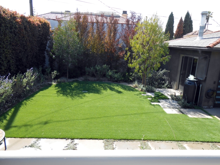 Artificial Turf Bel Air South Maryland Landscape Back Yard