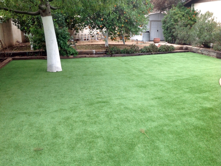 Artificial Turf Beltsville Maryland Landscape Back Yard