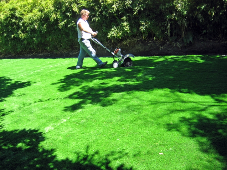 Artificial Turf Butlertown Maryland Landscape Front Yard