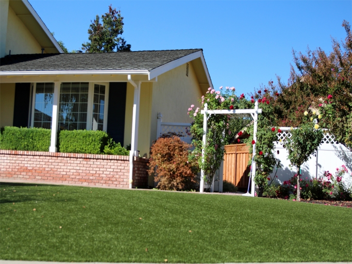 Artificial Turf Cloverly Maryland Landscape Front Yard