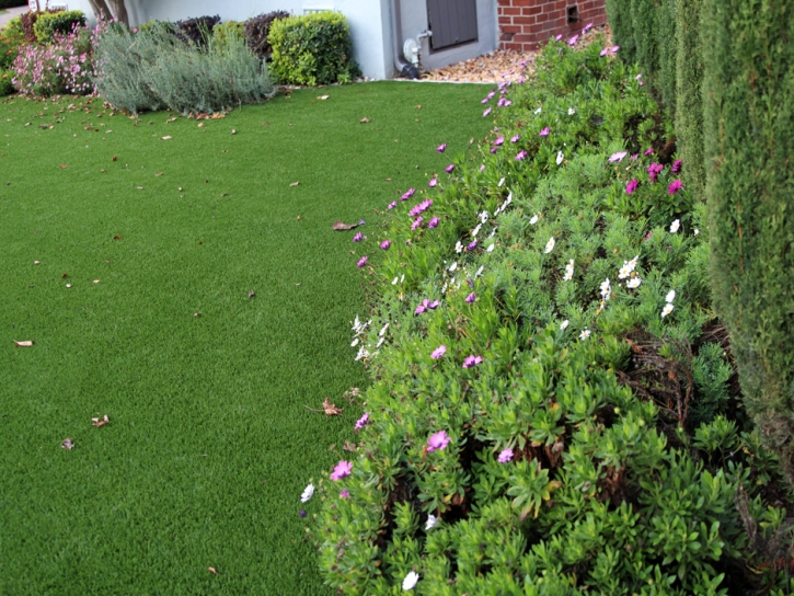 Artificial Turf Colmar Manor Maryland Lawn Commercial Landscape