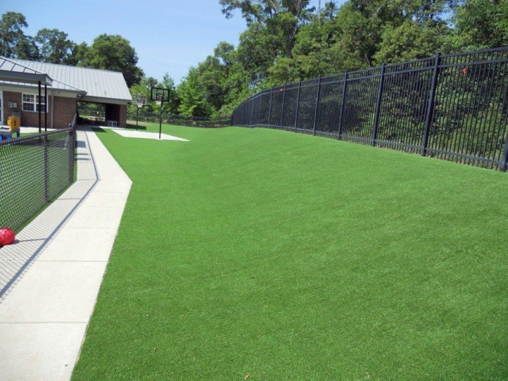 Artificial Turf Columbia Maryland Lawn Back Yard