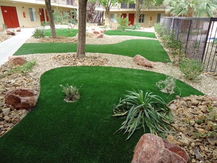 Artificial Turf Edgewood Maryland Landscape Back Yard