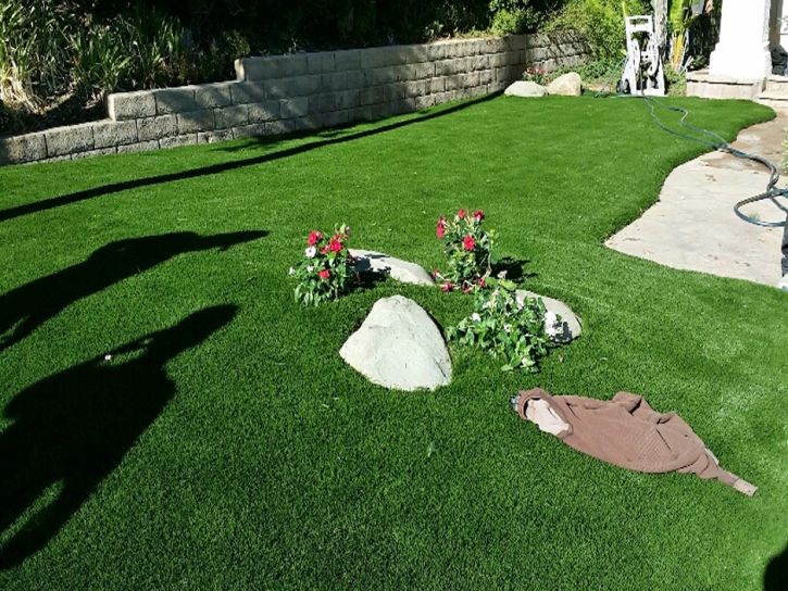 Artificial Turf Fairlee Maryland Landscape Front Yard