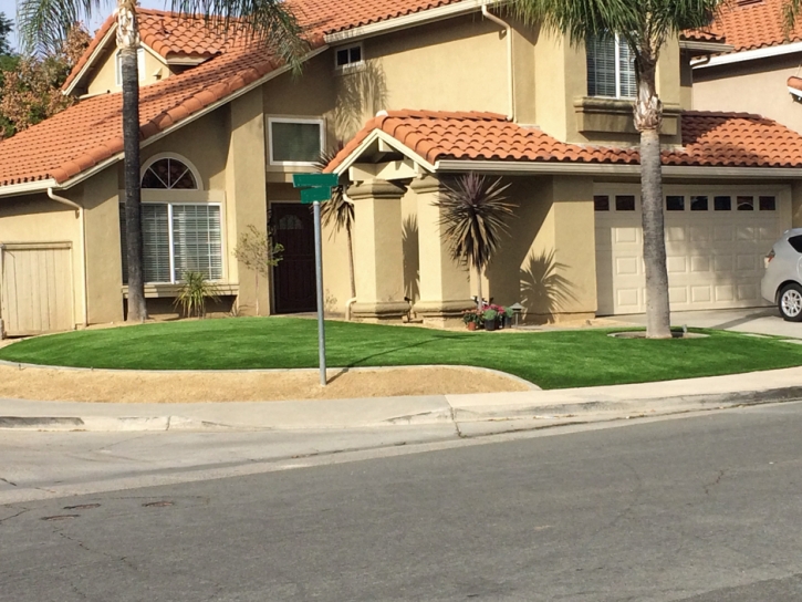 Artificial Turf Garrett Park Maryland Landscape Front Yard