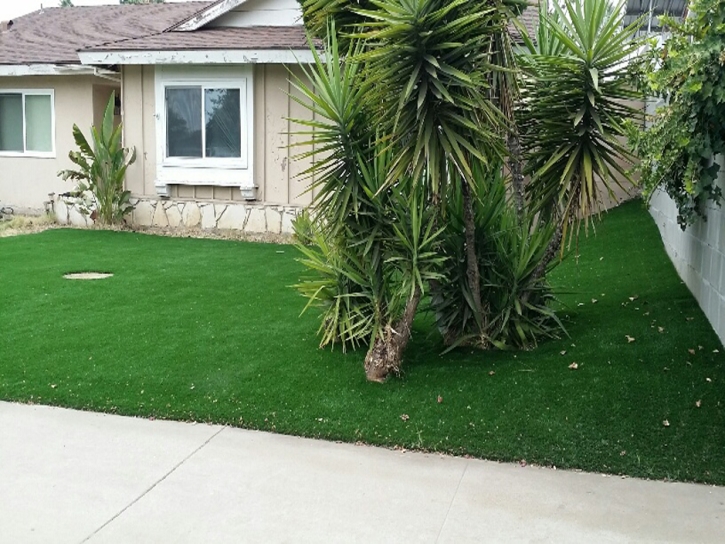 Artificial Turf Greenbelt Maryland Landscape Front Yard