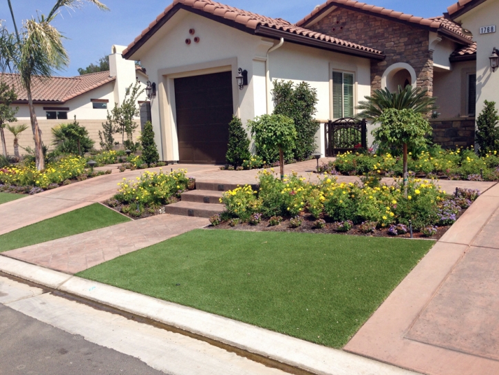 Artificial Turf Highland Beach Maryland Landscape