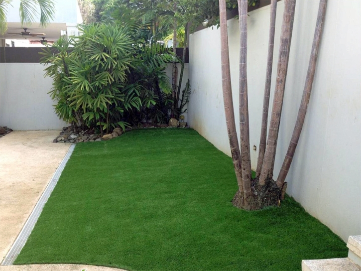 Artificial Turf Hillsmere Shores Maryland Landscape Front