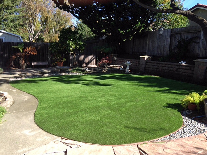 Artificial Turf New Windsor Maryland Lawn Front Yard