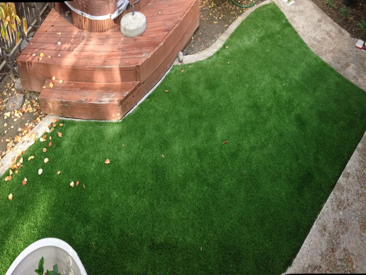 Artificial Turf North Brentwood Maryland Lawn Back Yard