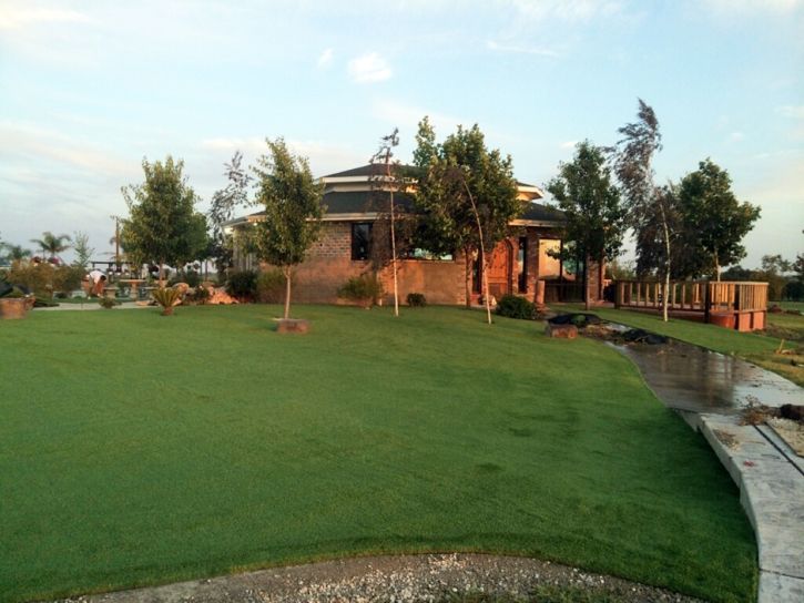 Artificial Turf Pikesville Maryland Landscape Front Yard