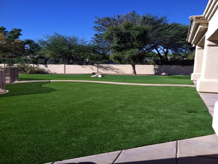 Artificial Turf Riviera Beach Maryland Landscape Recreational