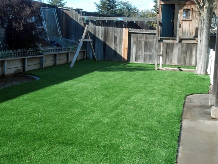 Artificial Turf Robinwood Maryland Lawn Front Yard