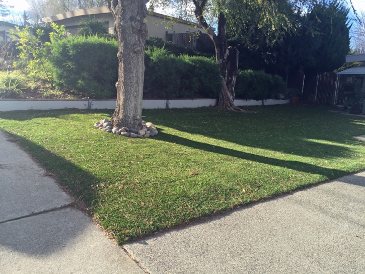 Artificial Turf Shady Side Maryland Lawn Back Yard