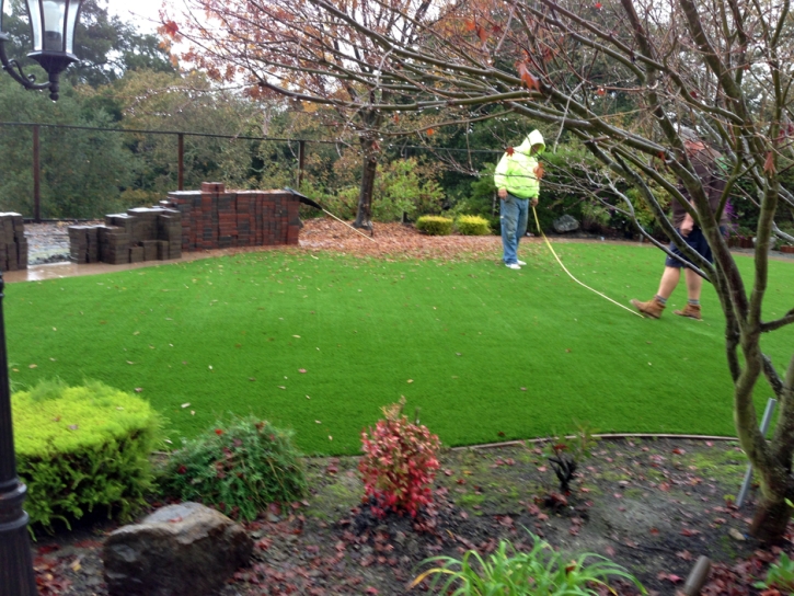 Artificial Turf Springdale Maryland Lawn Recreational Areas