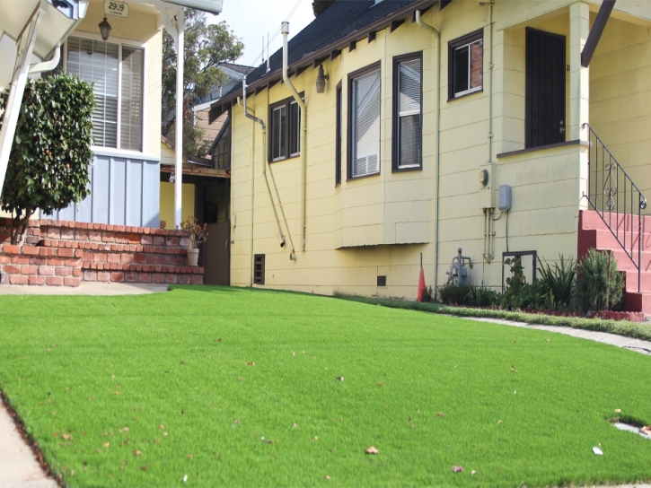 Artificial Turf Takoma Park Maryland Landscape Front Yard