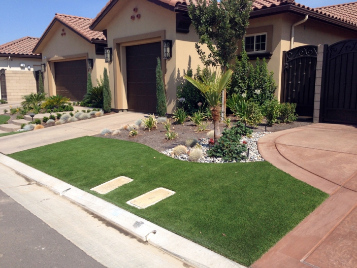 Artificial Turf Timonium Maryland Landscape