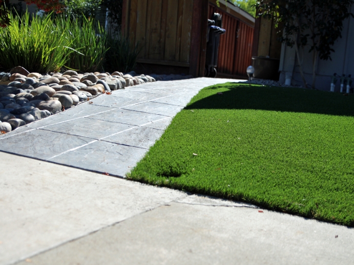 Fake Grass Berwyn Heights Maryland Landscape Front Yard