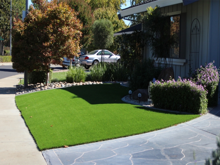 Fake Grass Brookeville Maryland Landscape Back Yard