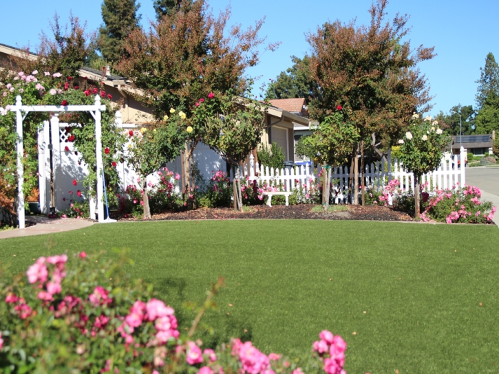 Fake Grass Chester Maryland Landscape Back Yard