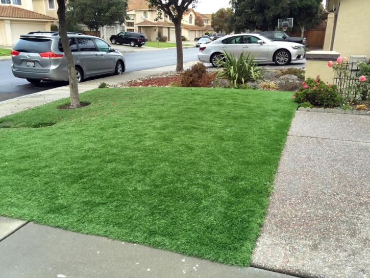 Fake Grass Cottage City Maryland Lawn