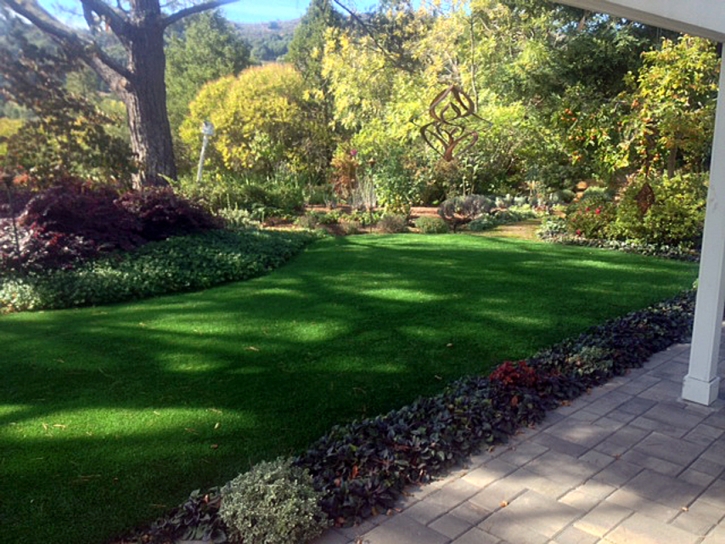 Fake Grass Glenarden Maryland Lawn Front Yard